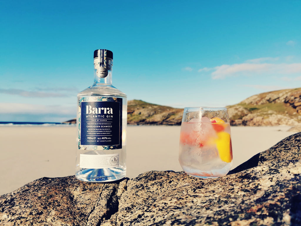 The Barra Gin Serve